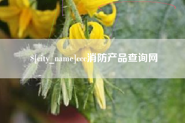 渠县ccc消防产品查询网