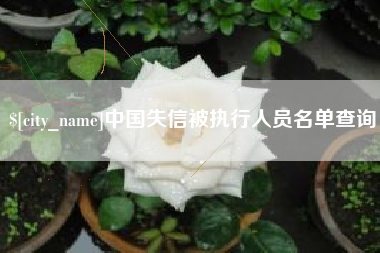 渠县中国失信被执行人员名单查询