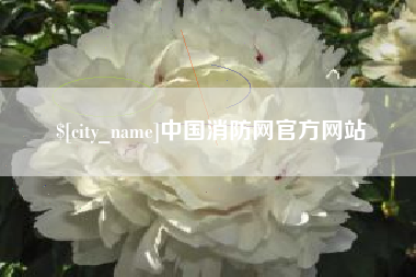 渠县中国消防网官方网站