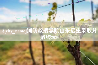 渠县消防救援学院山东招生录取分数线2020