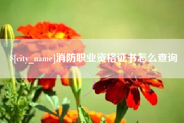 渠县消防职业资格证书怎么查询