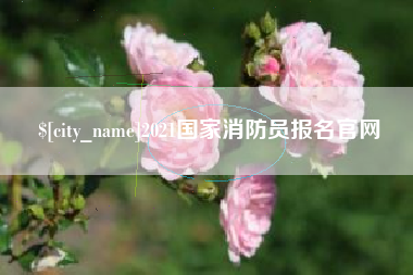 渠县2021国家消防员报名官网