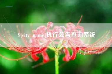 渠县执行公告查询系统