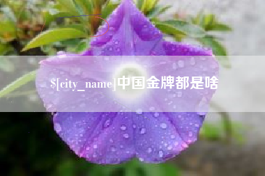 渠县中国金牌都是啥