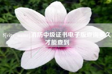 渠县消防中级证书电子版查询多久才能查到
