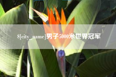 渠县男子5000米世界冠军