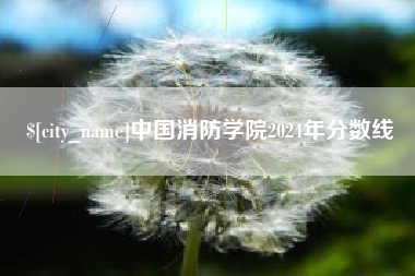 渠县中国消防学院2024年分数线