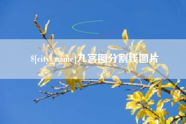 渠县九宫图分割线图片