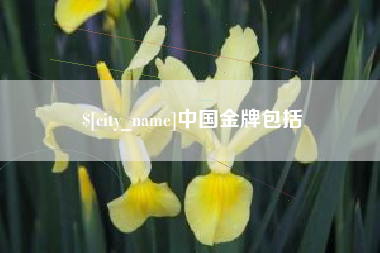 渠县中国金牌包括