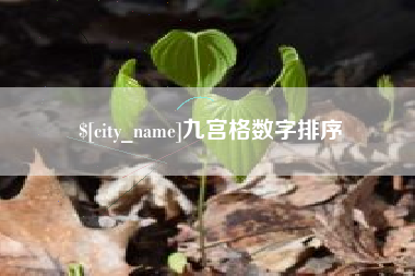 渠县九宫格数字排序