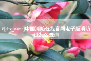 渠县中国消防在线官网电子版消防证怎么查询
