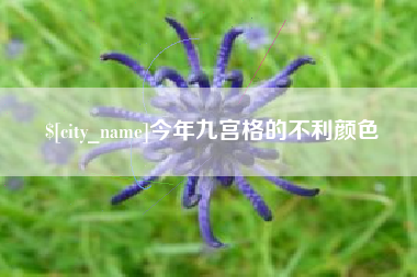 渠县今年九宫格的不利颜色