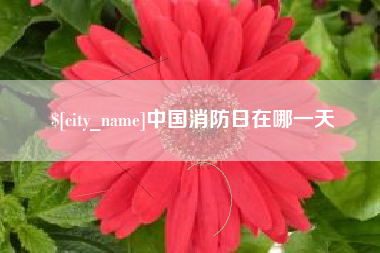 渠县中国消防日在哪一天