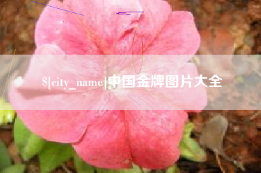 渠县中国金牌图片大全