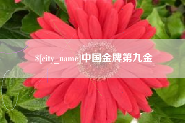 渠县中国金牌第九金