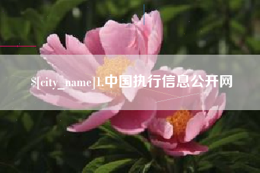 渠县1.中国执行信息公开网