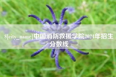 渠县中国消防救援学院2024年招生分数线
