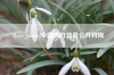 渠县中国执行信息公开网询