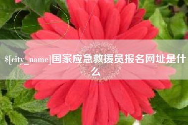 渠县国家应急救援员报名网址是什么