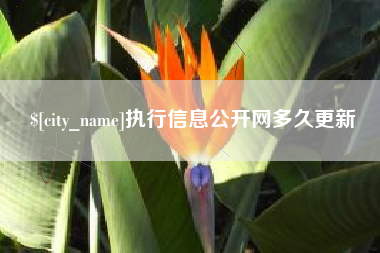 渠县执行信息公开网多久更新