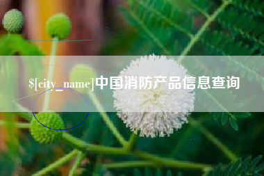 渠县中国消防产品信息查询