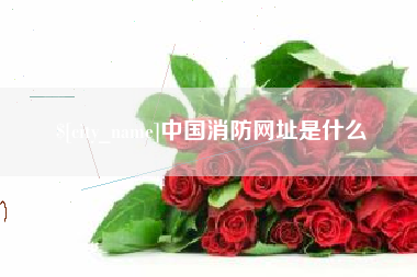 渠县中国消防网址是什么