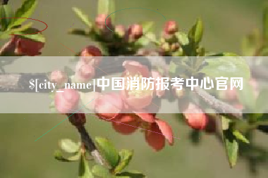渠县中国消防报考中心官网