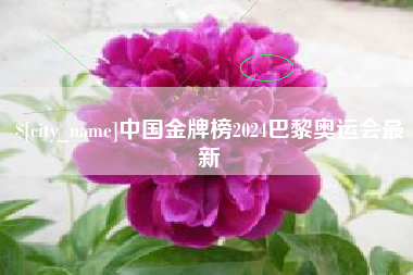 渠县中国金牌榜2024巴黎奥运会最新