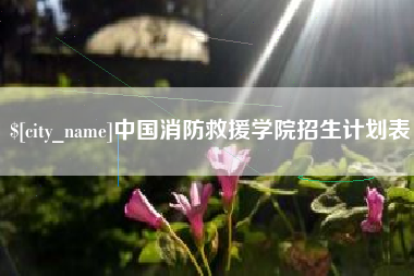 渠县中国消防救援学院招生计划表