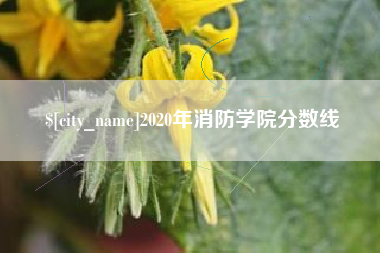 渠县2020年消防学院分数线