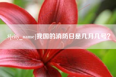渠县我国的消防日是几月几号？