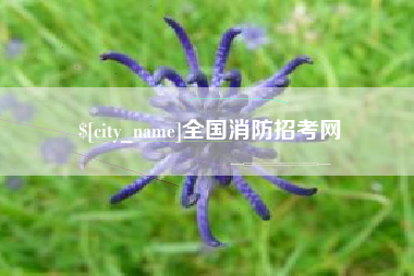 渠县全国消防招考网