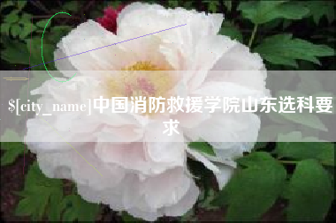 渠县中国消防救援学院山东选科要求
