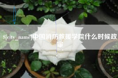 渠县中国消防救援学院什么时候政审