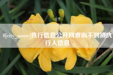 渠县执行信息公开网查询不到被执行人信息