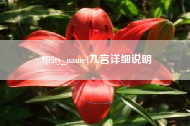 渠县九宫详细说明