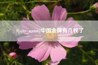 渠县中国金牌有几枚了
