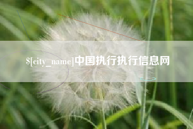渠县中国执行执行信息网