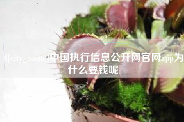 渠县中国执行信息公开网官网app为什么要钱呢