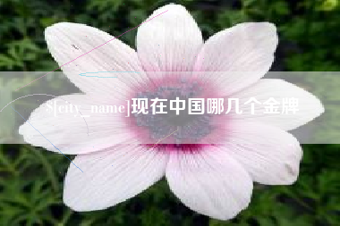 渠县现在中国哪几个金牌
