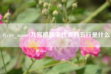 渠县九宫格数字代表的五行是什么