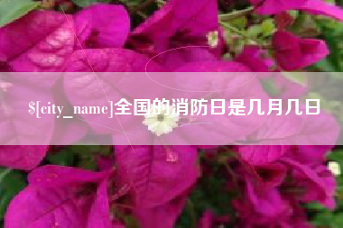 渠县全国的消防日是几月几日
