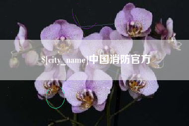 渠县中国消防官方