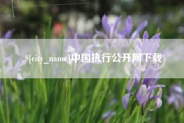 渠县中国执行公开网下载