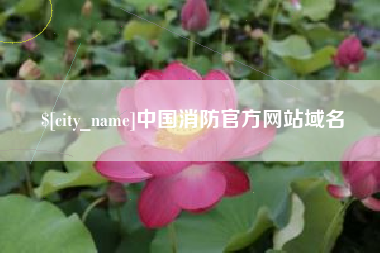 渠县中国消防官方网站域名