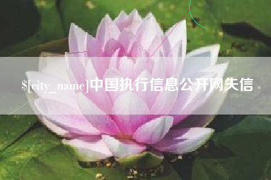 渠县中国执行信息公开网失信