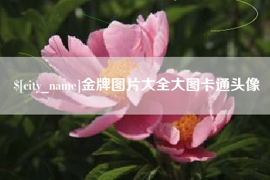 渠县金牌图片大全大图卡通头像