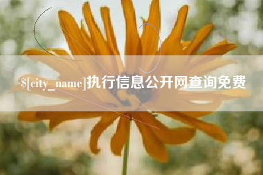 渠县执行信息公开网查询免费