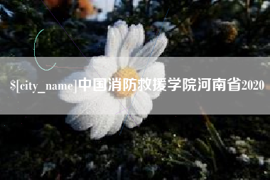渠县中国消防救援学院河南省2020